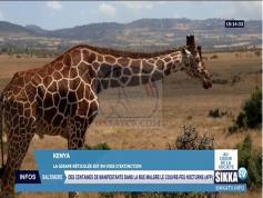 dxsatcs-com-eutelsat-16a-16-e-ka-band-reception-frequency-21569-h-sikka-tv-quality-analysis-01